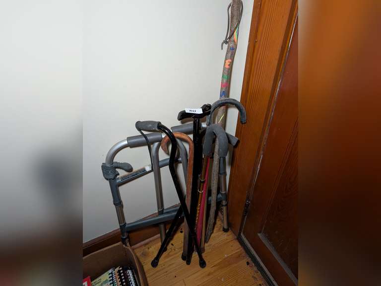 WALKING STICK, CANES, AND WALKER image
