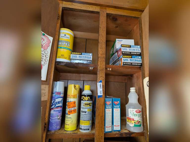 CONTENTS OF UPPER CABINET MARKED 1007 INCLUDING NITRILE GLOVES, LYSOL, BLASTER GARAGE DOOR LUBE, AND MORE image