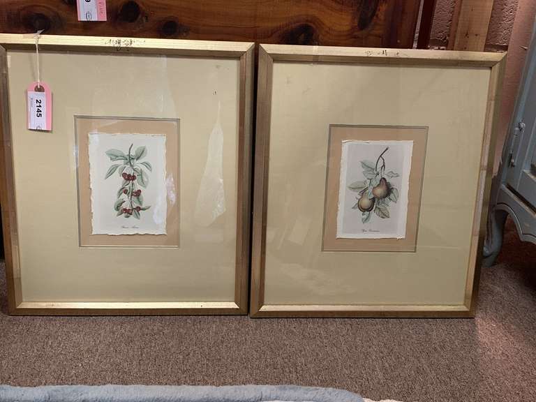 VINTAGE PAIR OF FRAMED/MATTED BOTANICAL PRINTS 15 1/2" WIDE X 17 1/2" TALL image