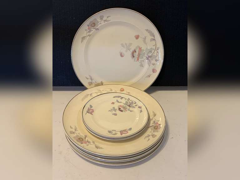 6 VINTAGE SALEM CHINA "BRYN MAWR" DINNER PLATES & 3 BREAD/BUTTER PLATES image