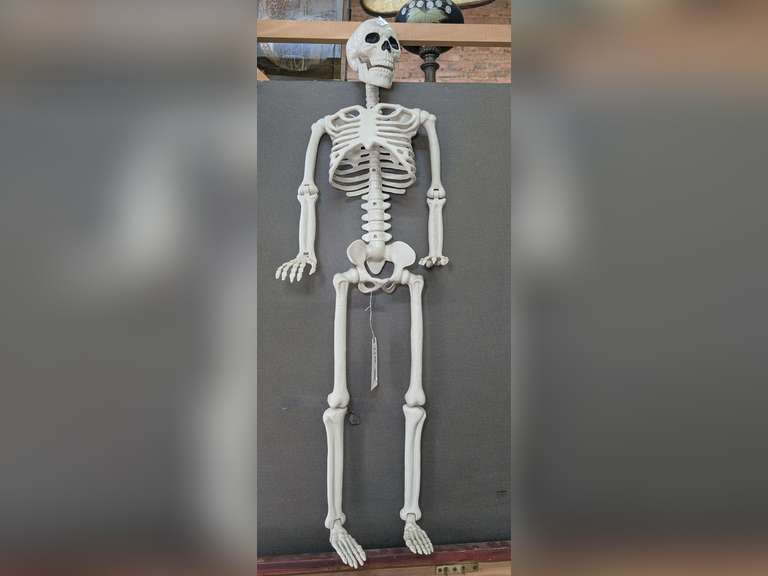 HANGING SKELETON WITH ARTICULATED JOINTS image