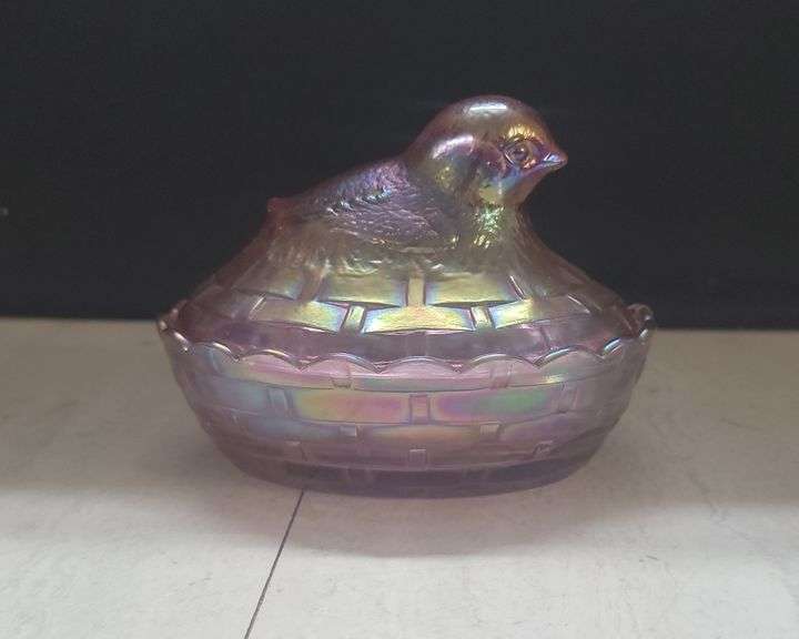 19T- FENTON CHICK ON NEST image