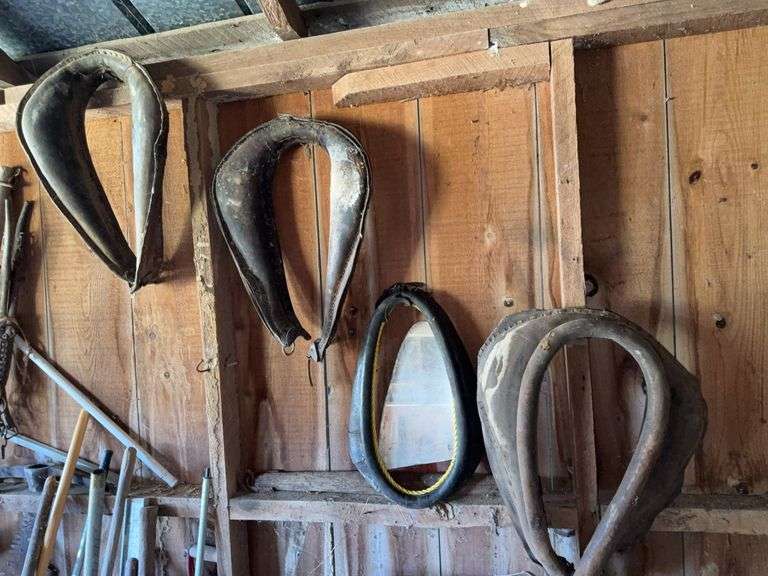 Group of Horse Collars