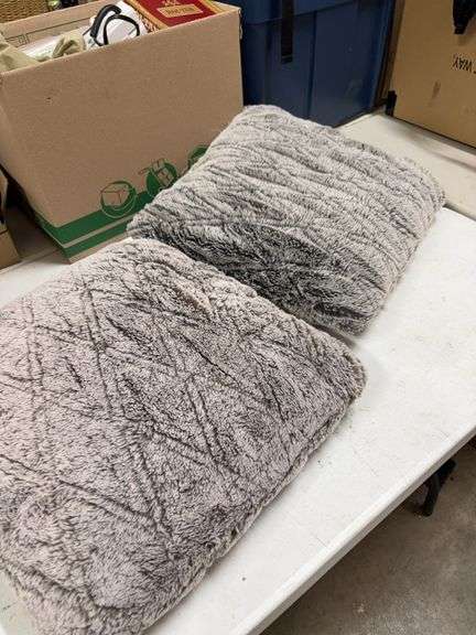 2- DECORATIVE PILLOWS- image