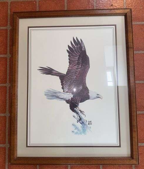 Framed Eagle Art Print Signed Hugh Mactie image