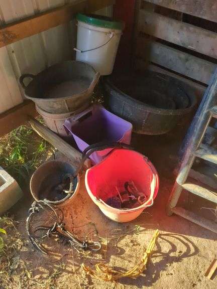 Assorted Buckets, Tubs, and Horse Halters