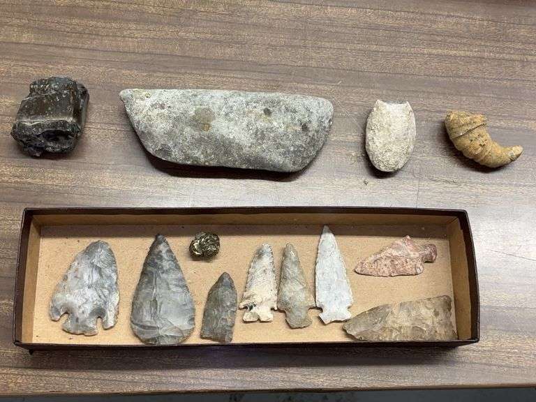 Arrowhead and Fossil Collection image