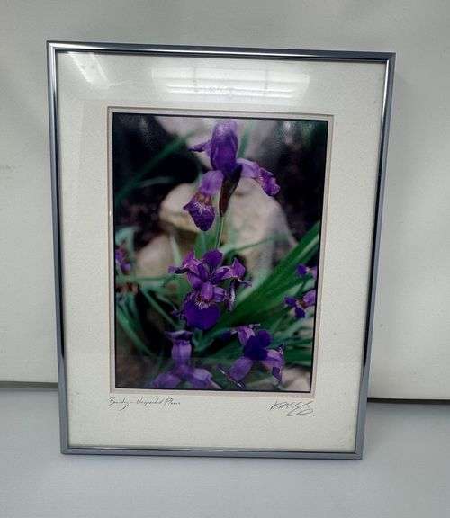 Framed Print Iris Flower By Kathleen A. Murphy image
