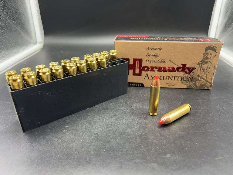 Hornady 450 Bushmaster 250 gr FTX Ammunition image