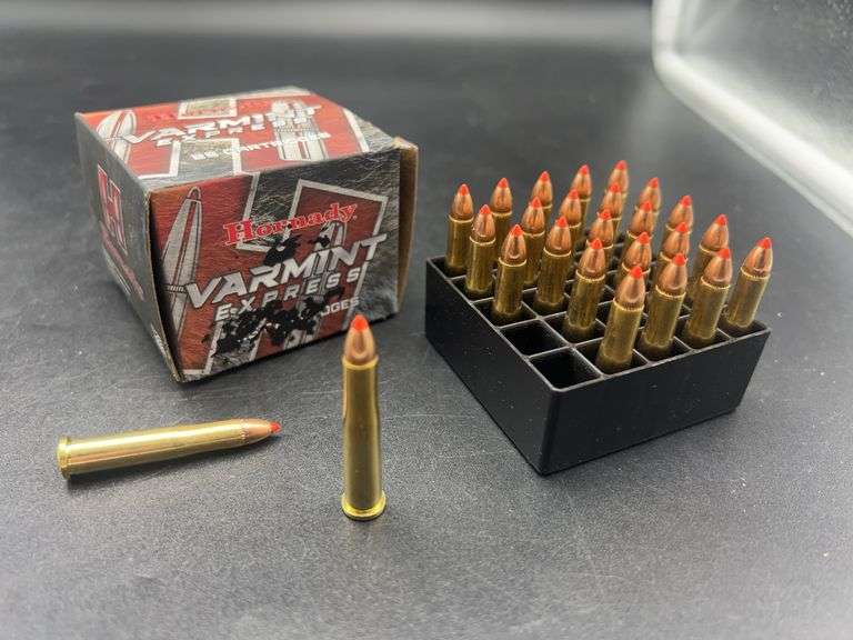 Hornady Varmint Express .22 Hornet 25 Cartridges image