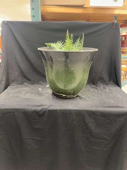 Fern Plant in Dark Green Planter image
