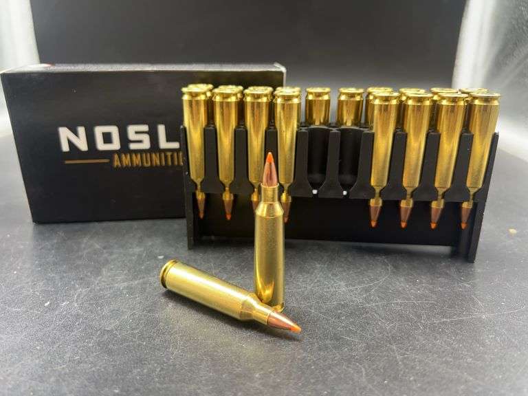 Nosler Ballistic Varmint Ammunition 22-250 Rem 55gr BT image