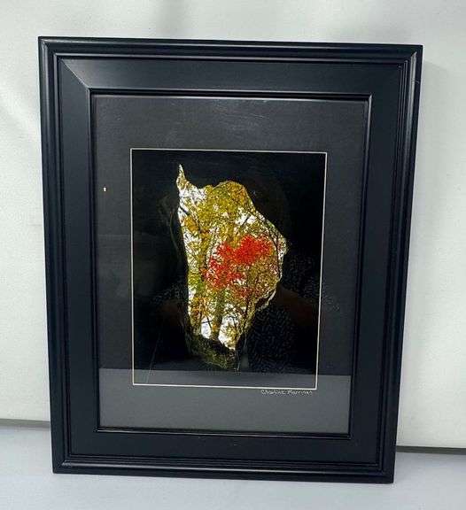 Framed Print Tree 20X24 image