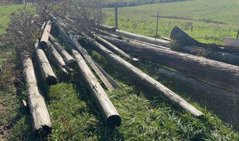 Wooden Fence Posts & Corrugated Metal image