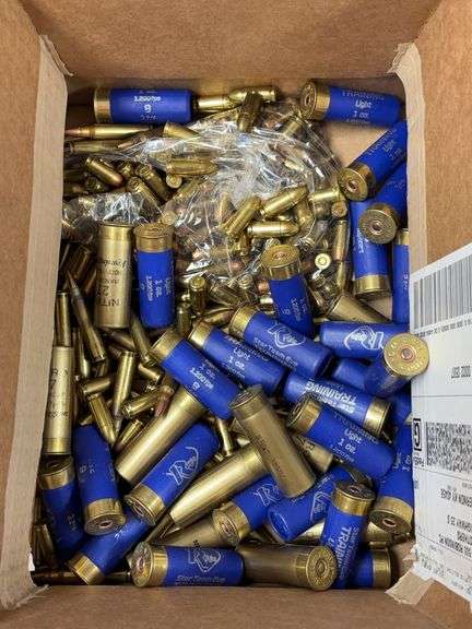 Mixed Ammunition: 12 GA, 9mm, .223 Rem, and More image