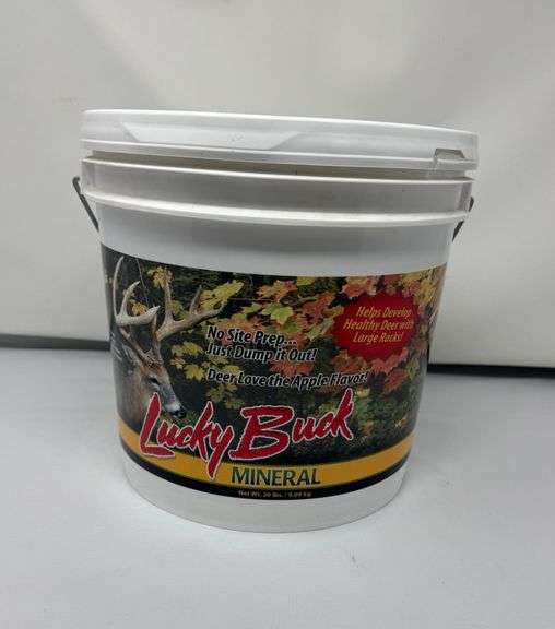 Lucky Buck Mineral image