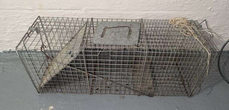 Wire Animal Trap image