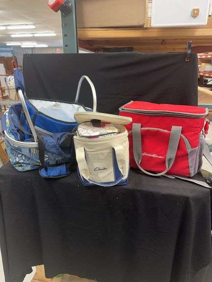 Group of Assorted Cooler Bags Including Eddie Bauer and Clarks image