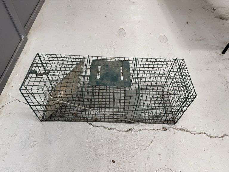 Wire Cage Animal Trap image