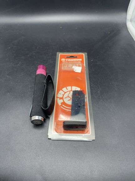 Taurus PT 738 Magazine and Extendable Baton. image