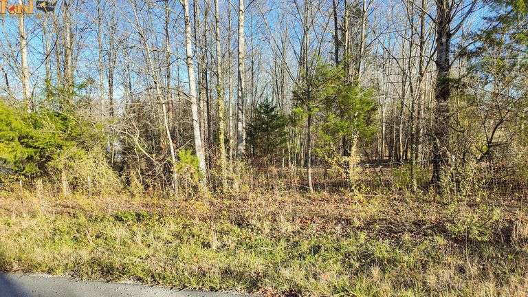 LOT #12 of Ron Lee Subdivision image