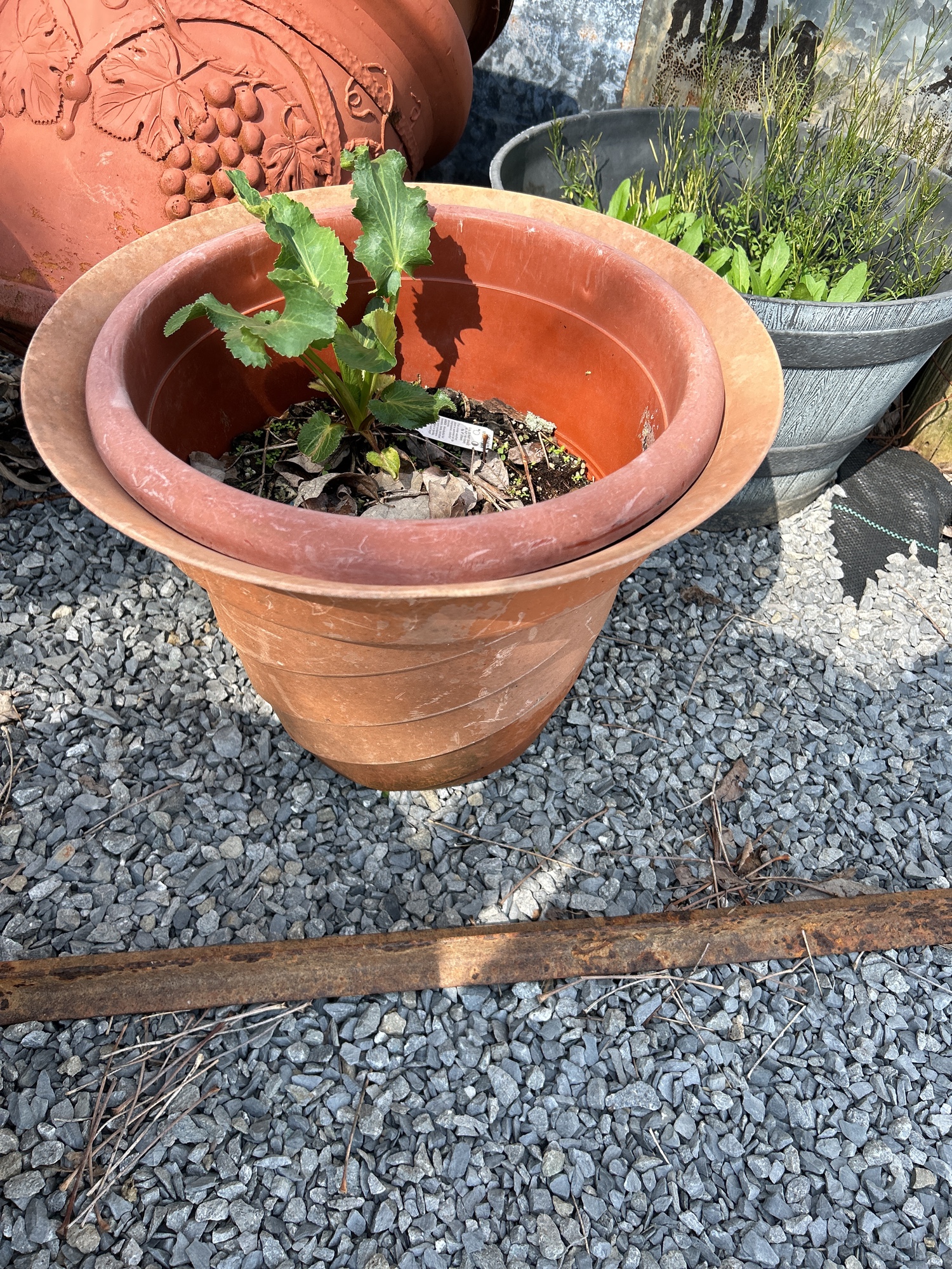 Lot image 4