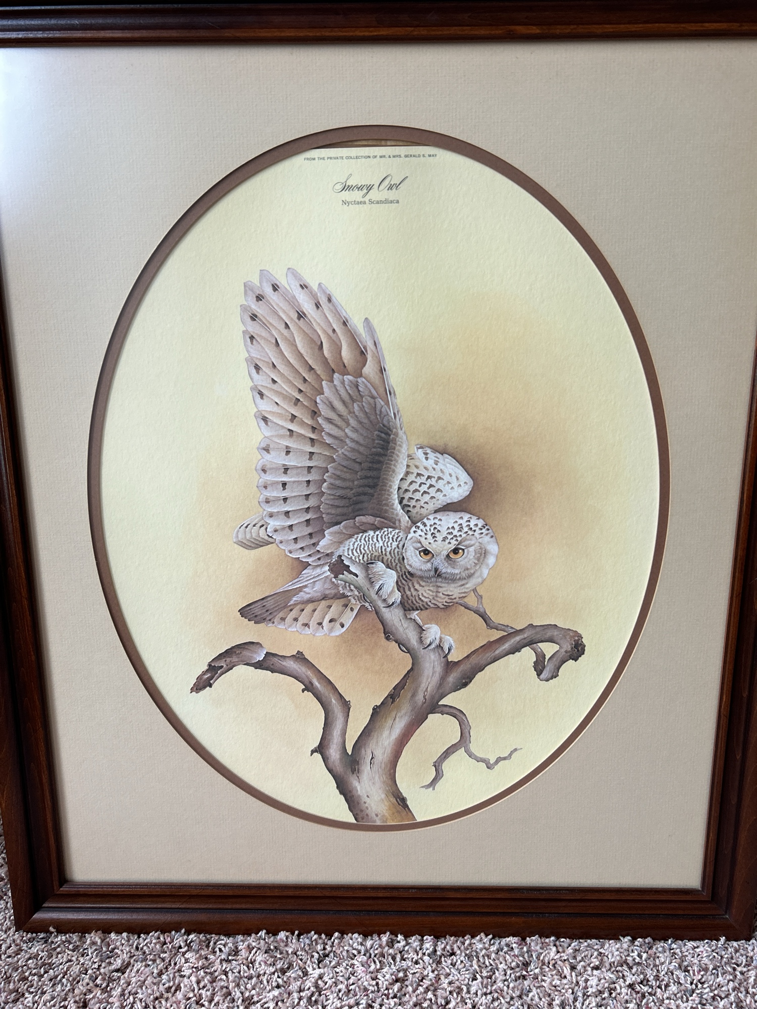 Lot image 2