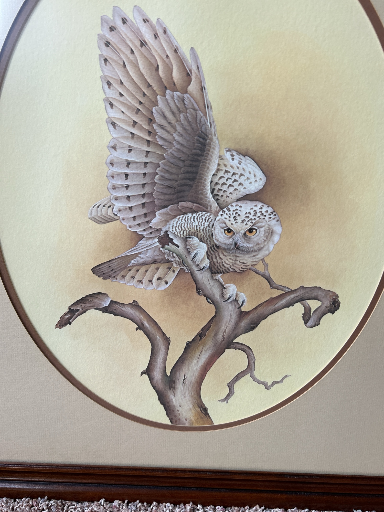 Lot image 4