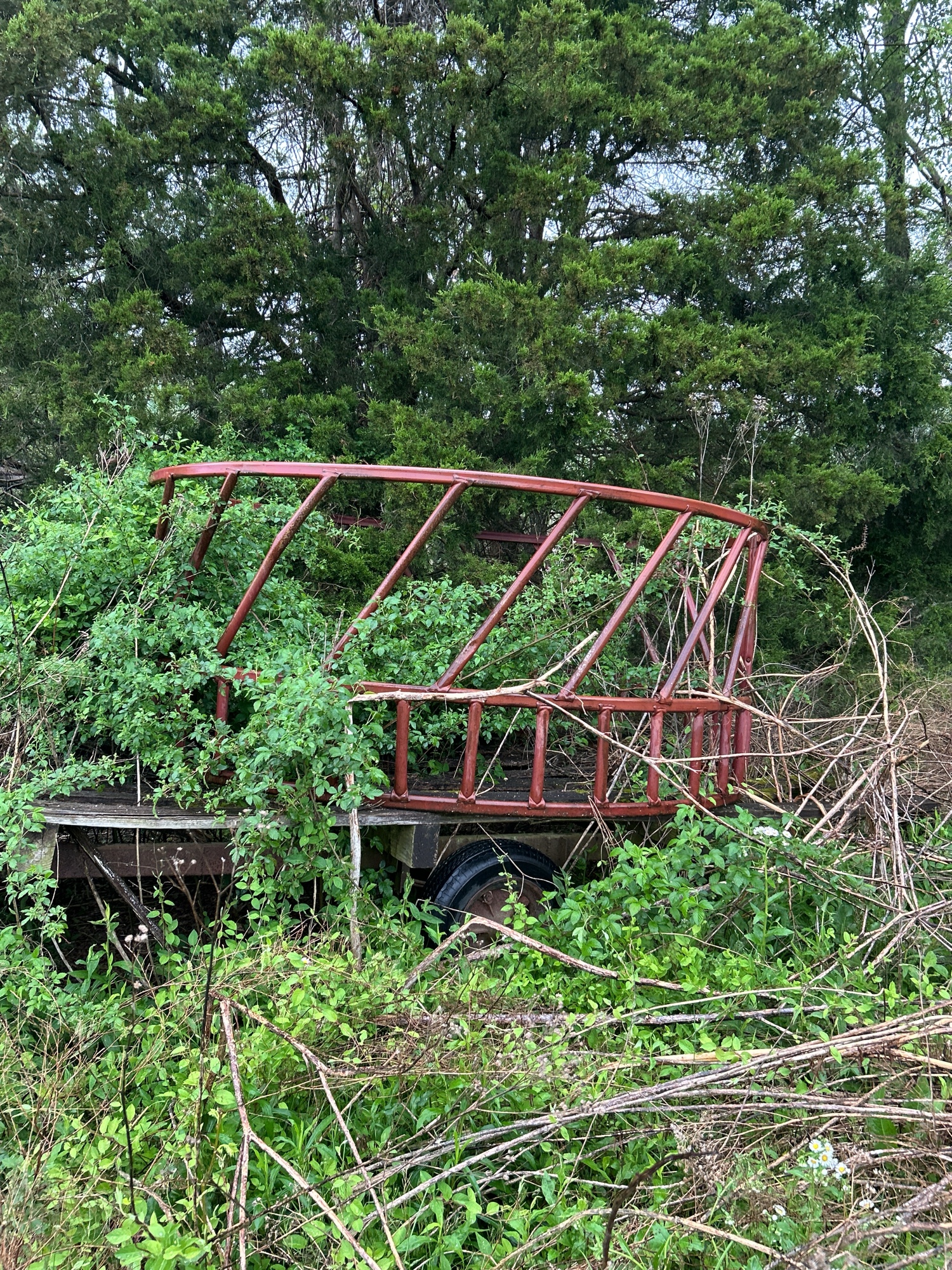 Lot image 7