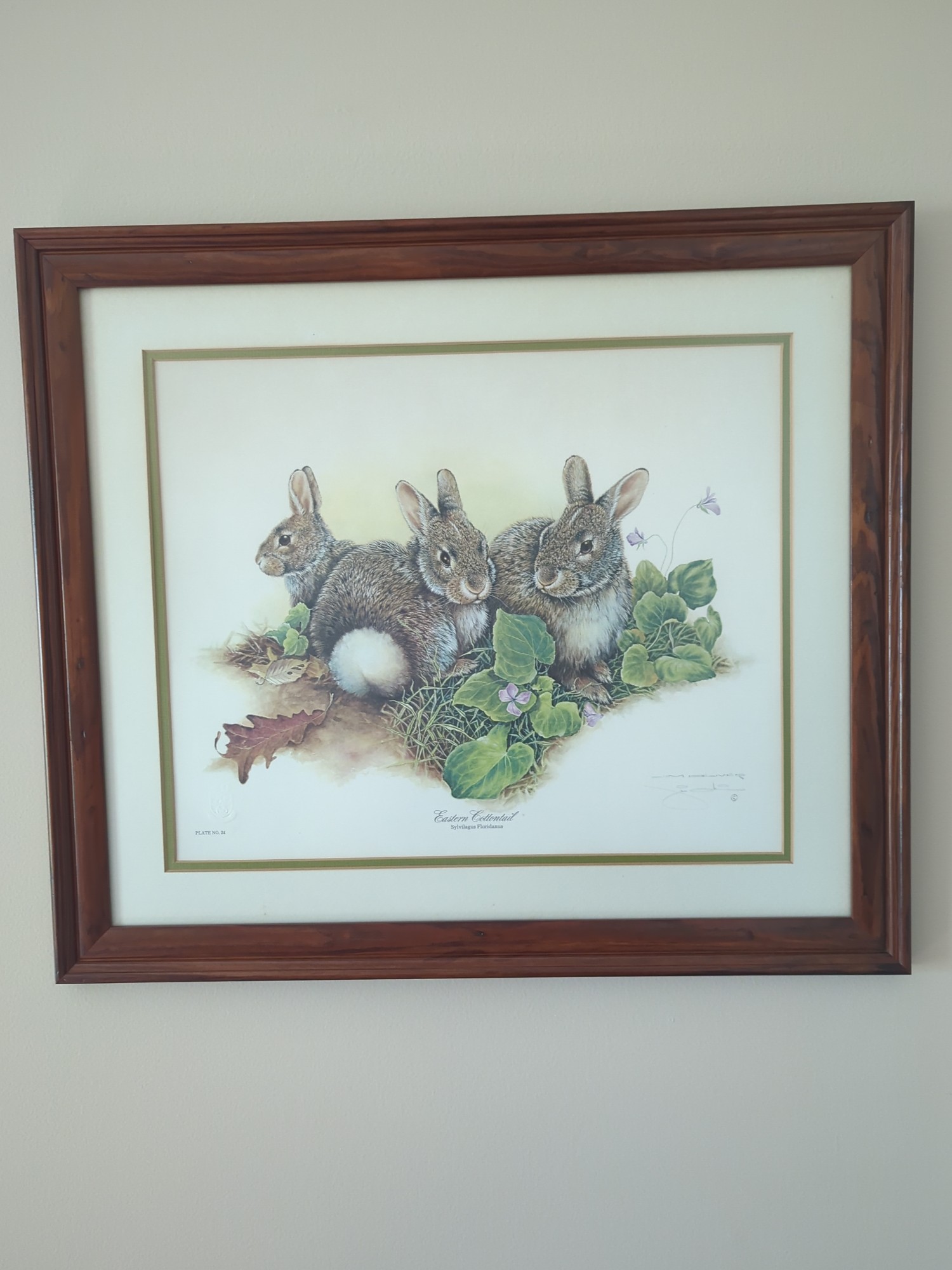Lot image 1