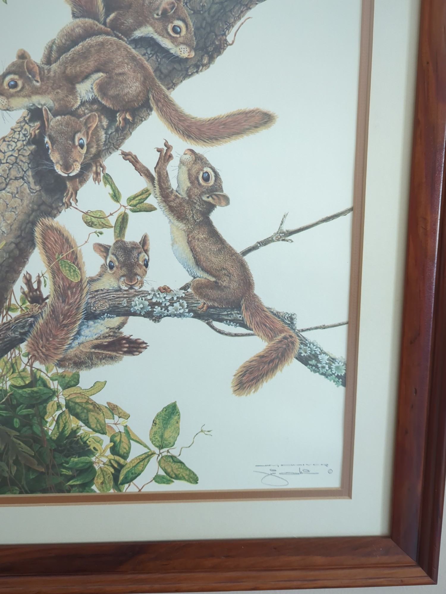 Lot image 4