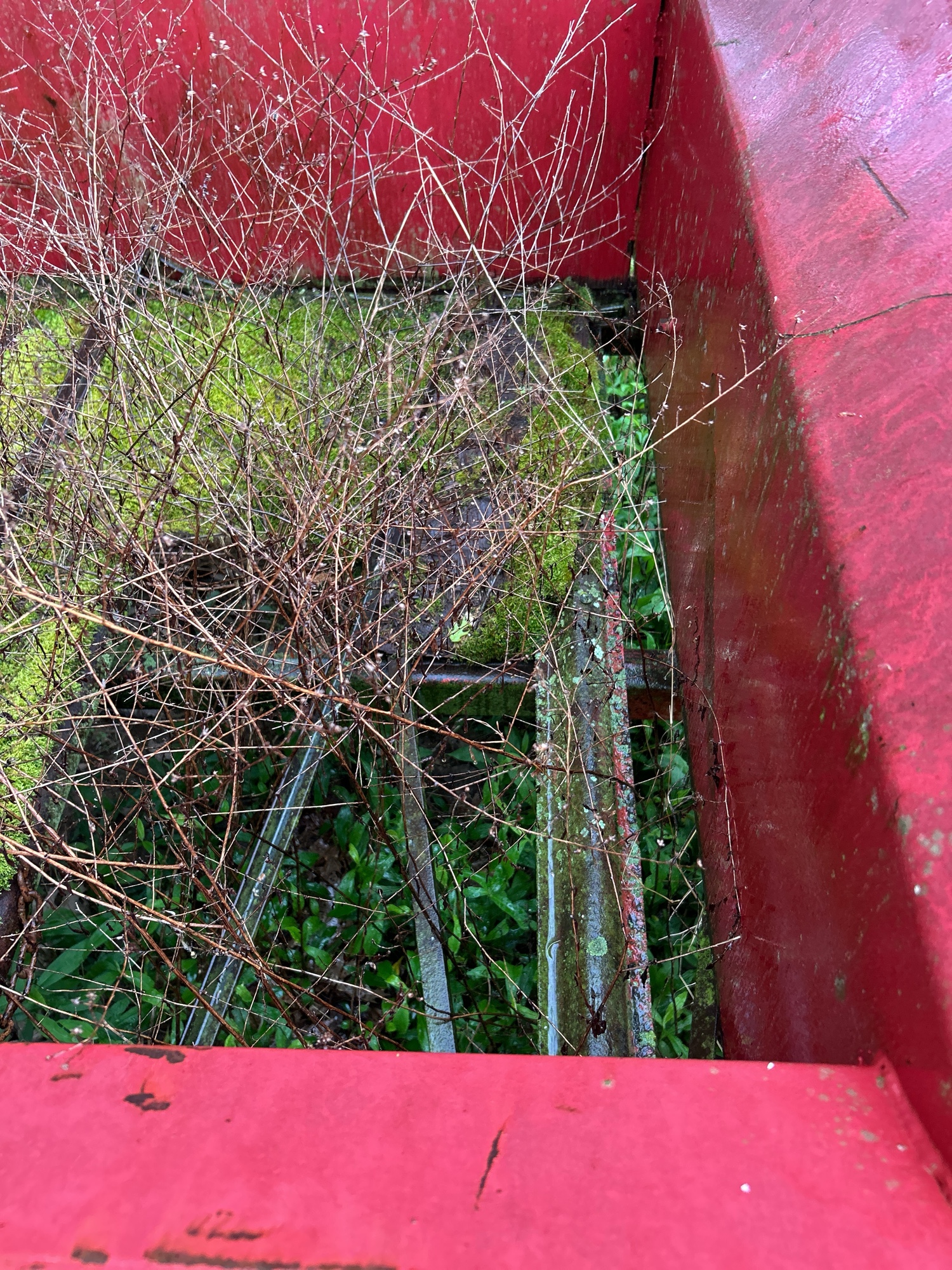 Lot image 7