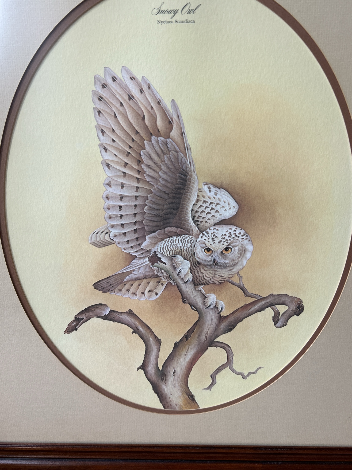 Lot image 3