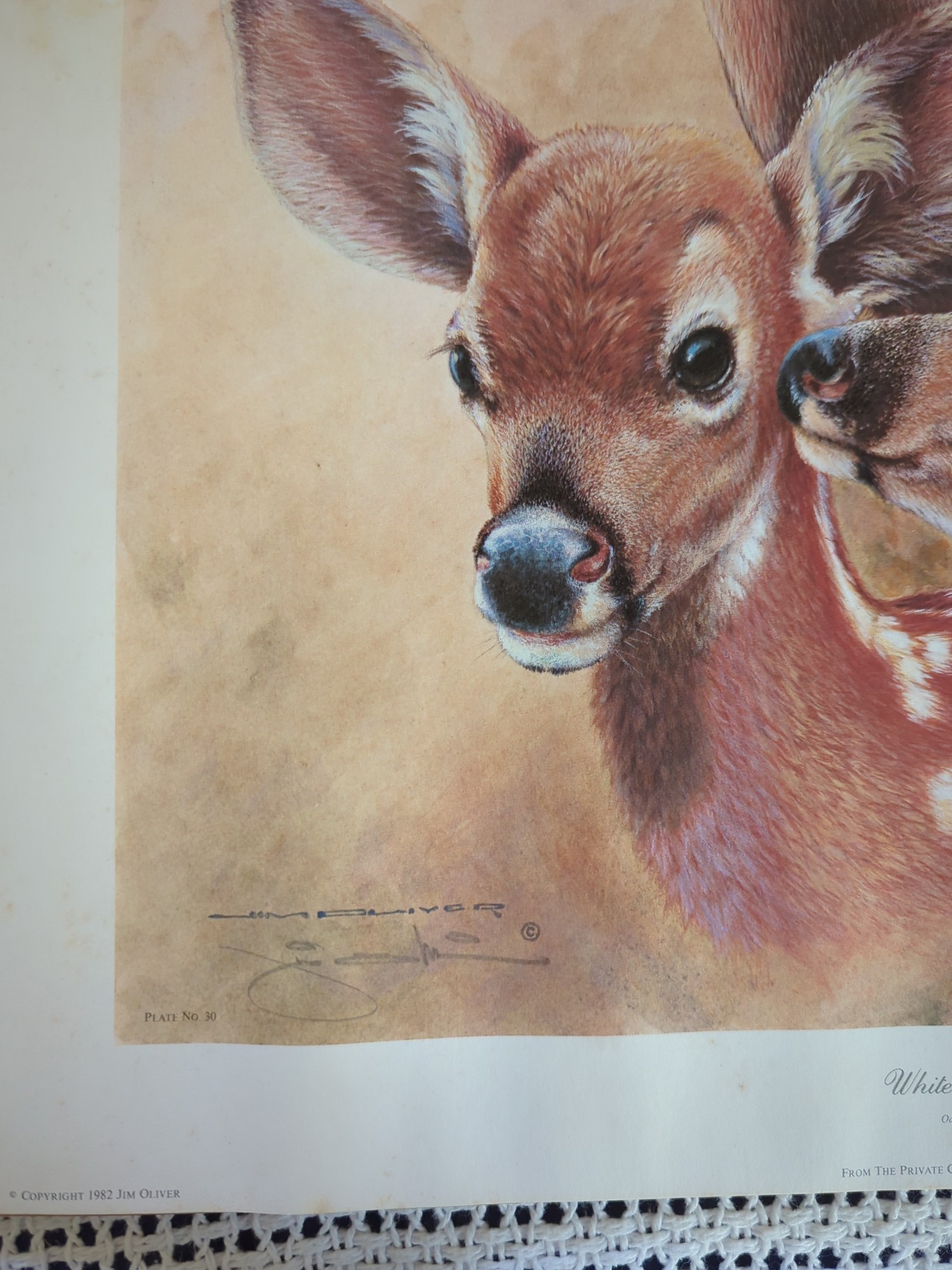 Lot image 5