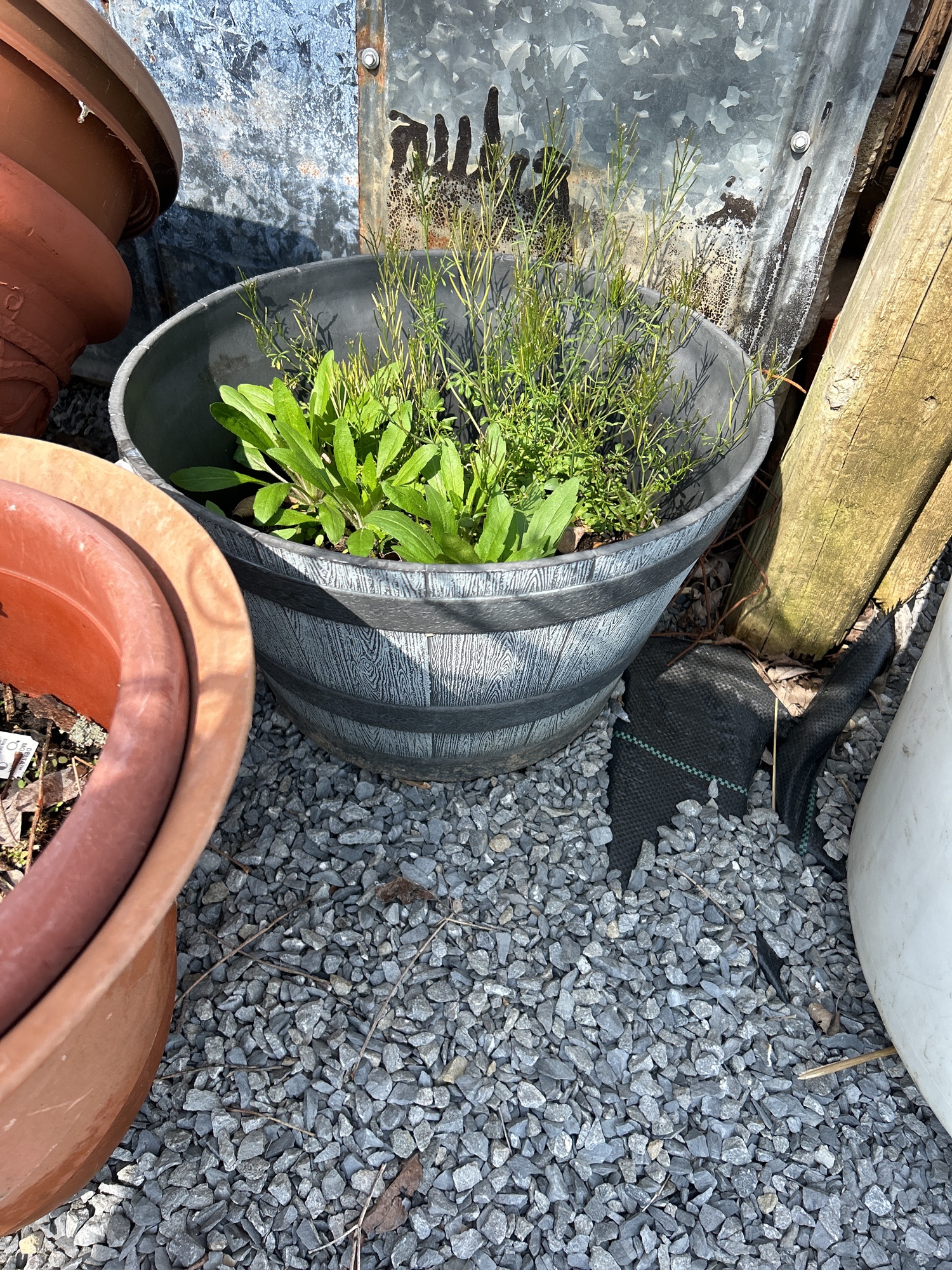 Lot image 6