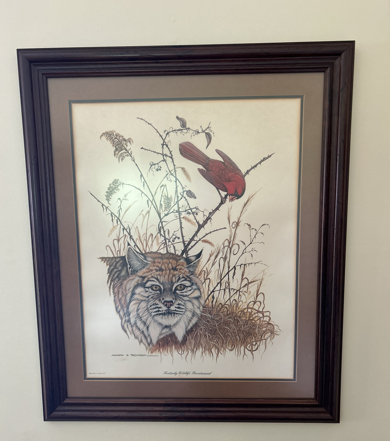 Lot image 1