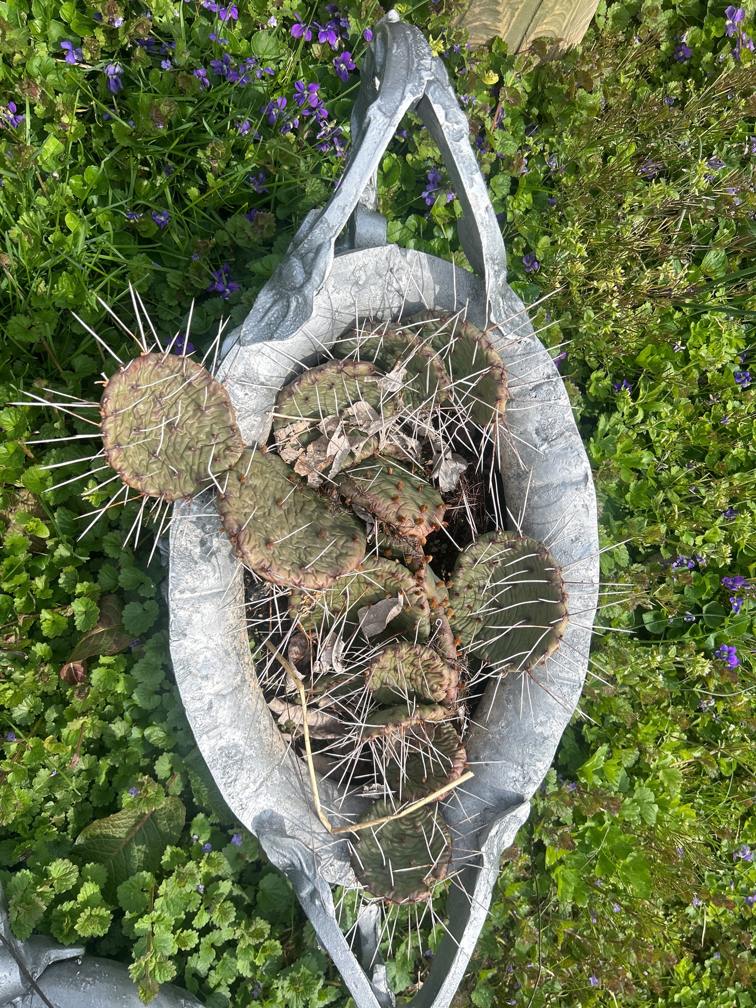 Lot image 5