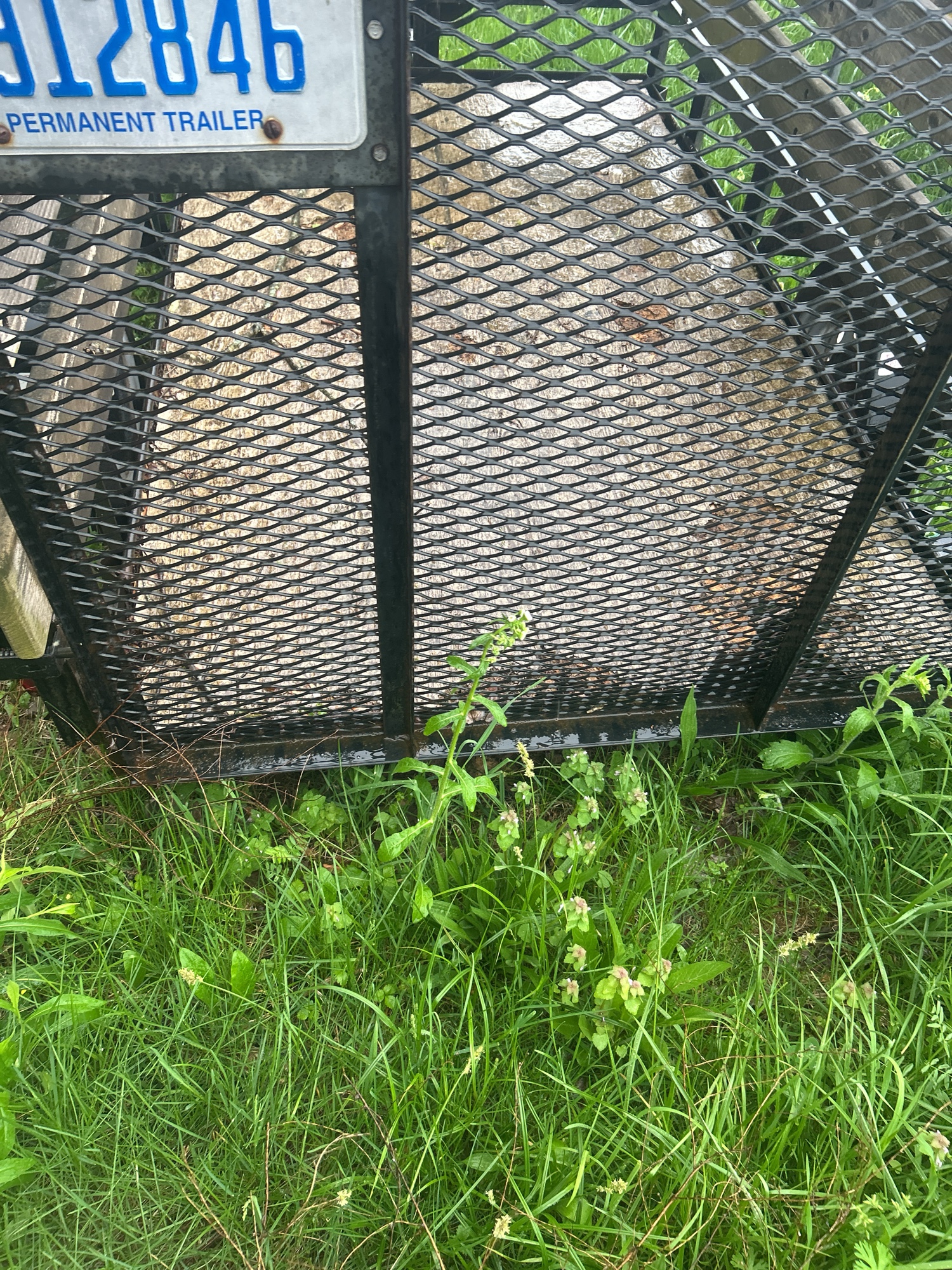 Lot image 9