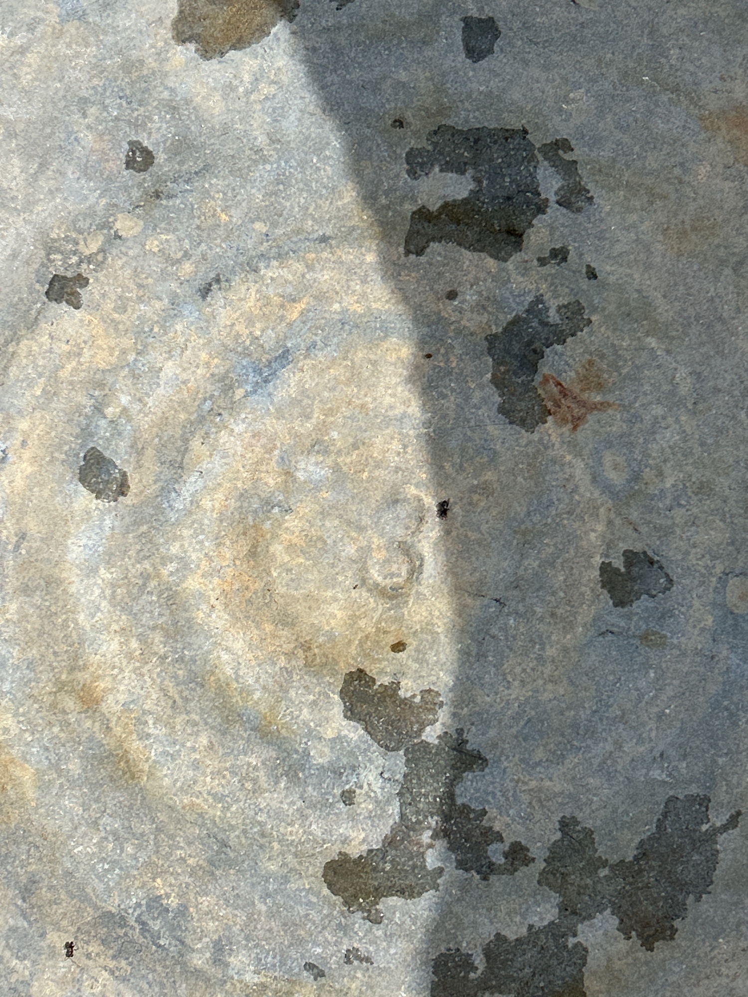 Lot image 2
