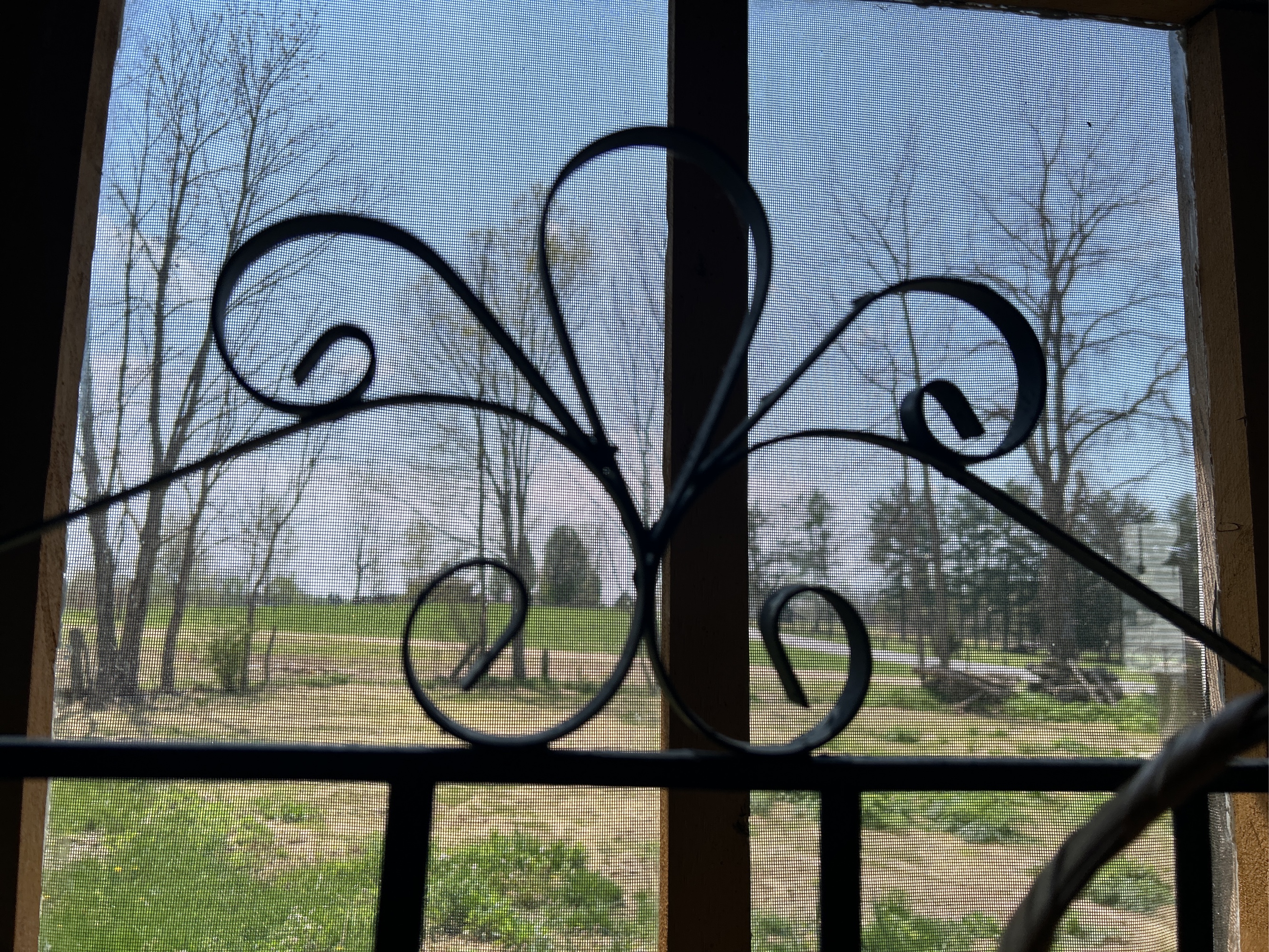 Lot image 11