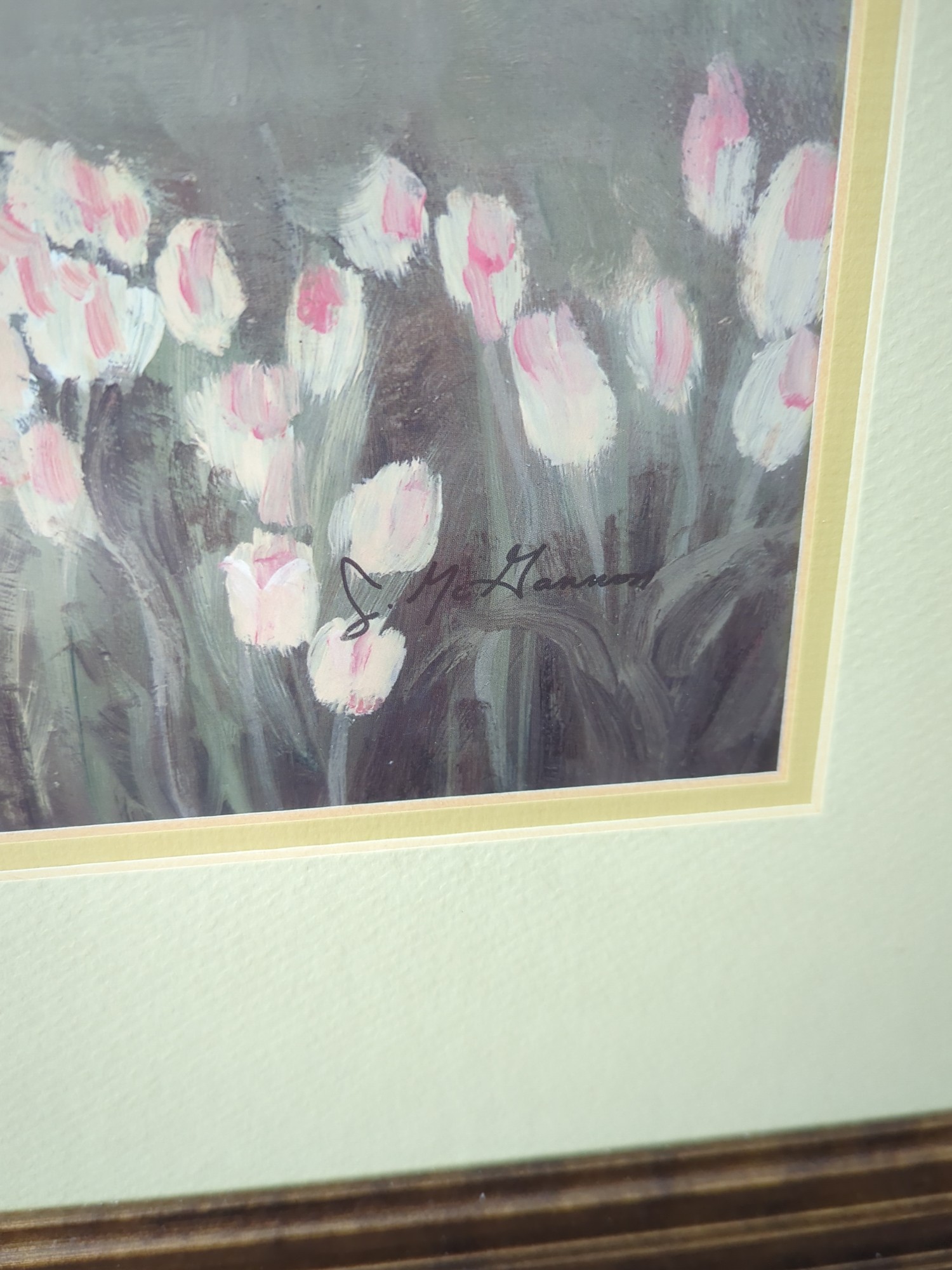 Lot image 6