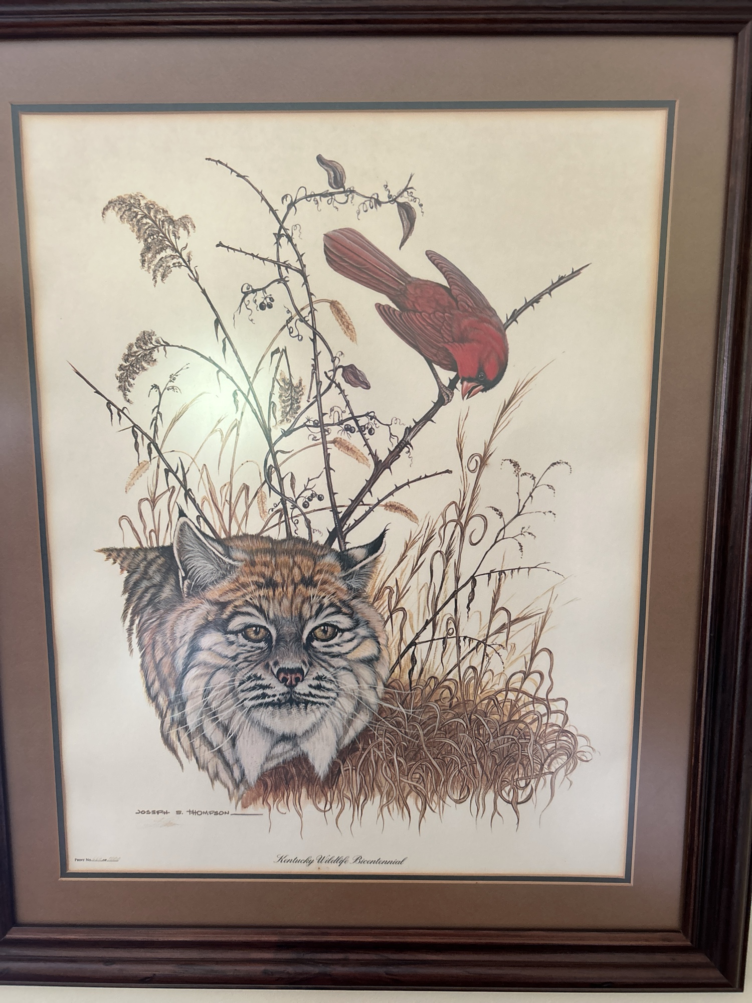 Lot image 4