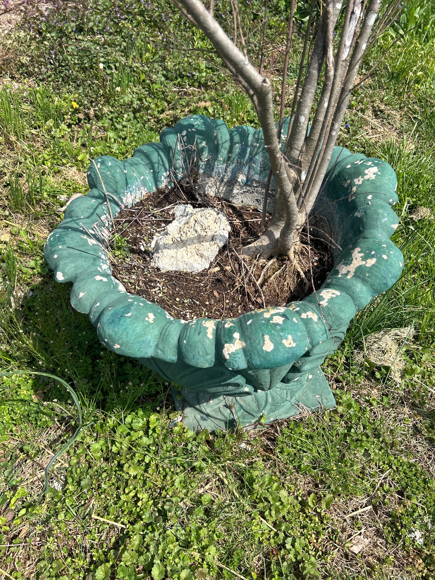 Lot image 6