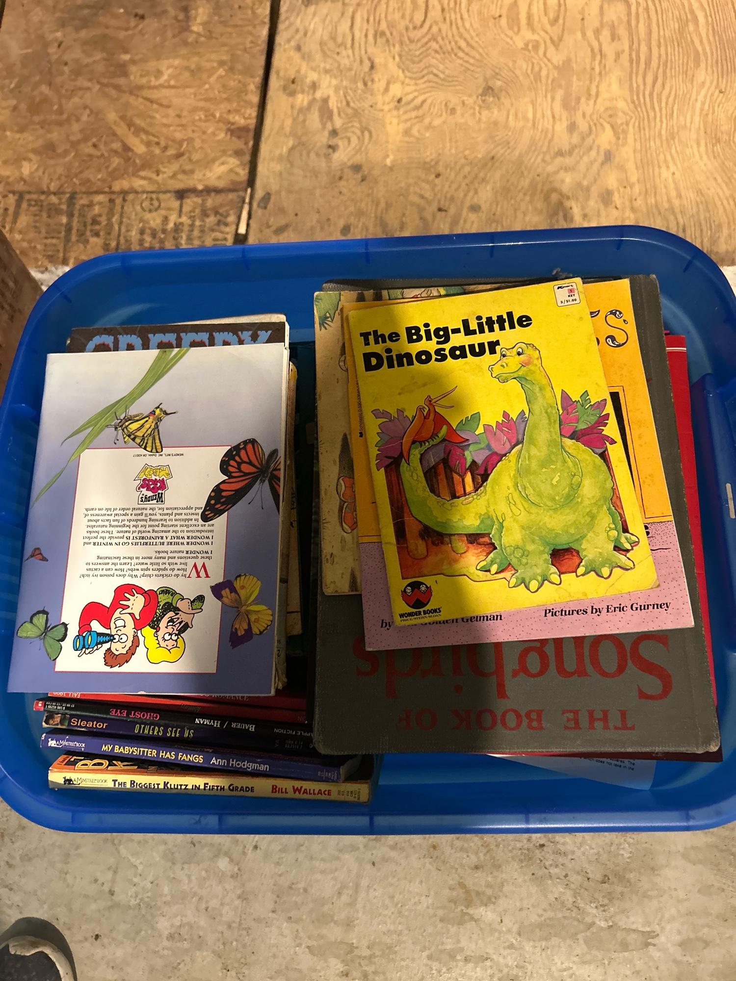 Lot image 6