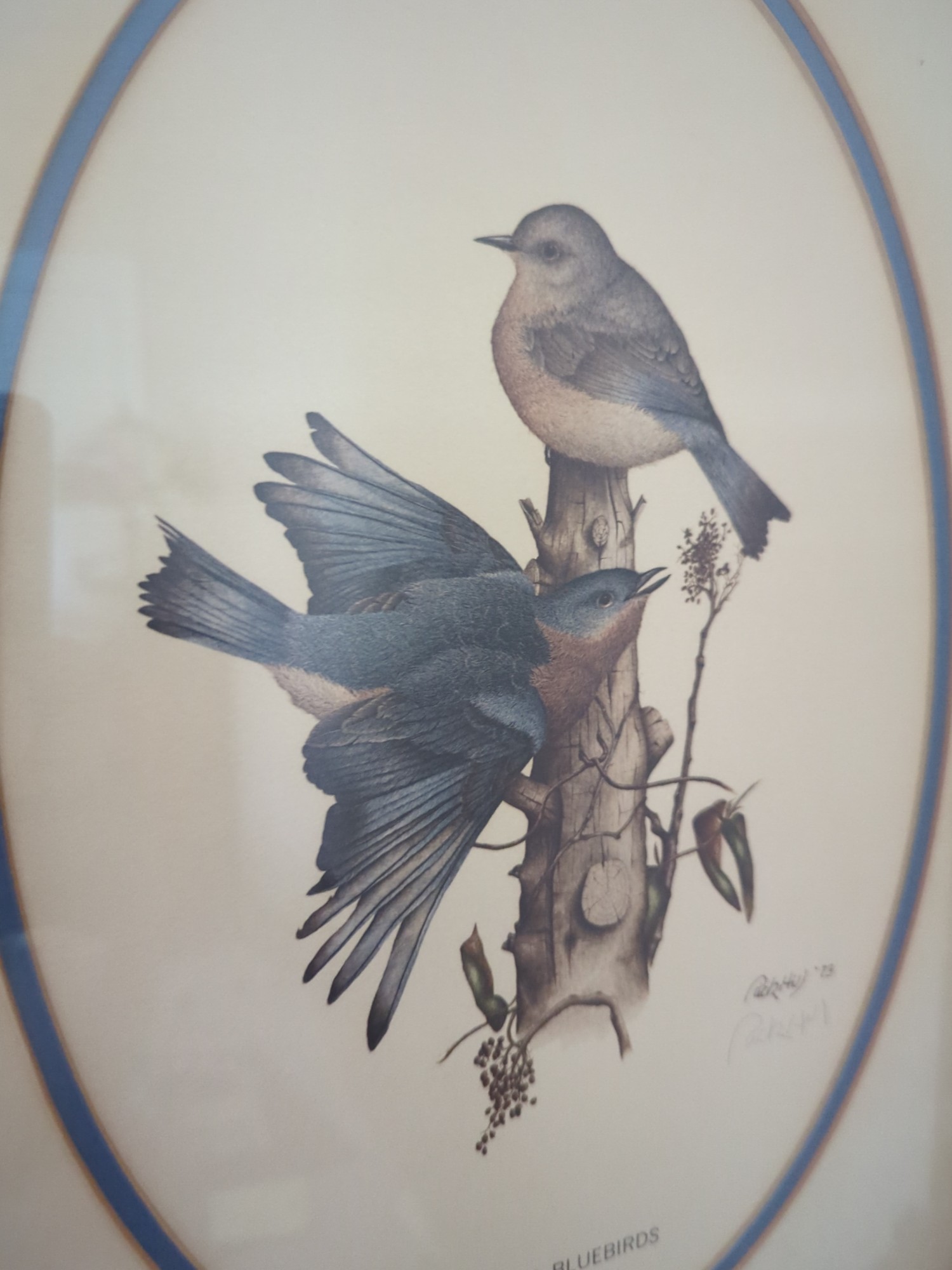 Lot image 7