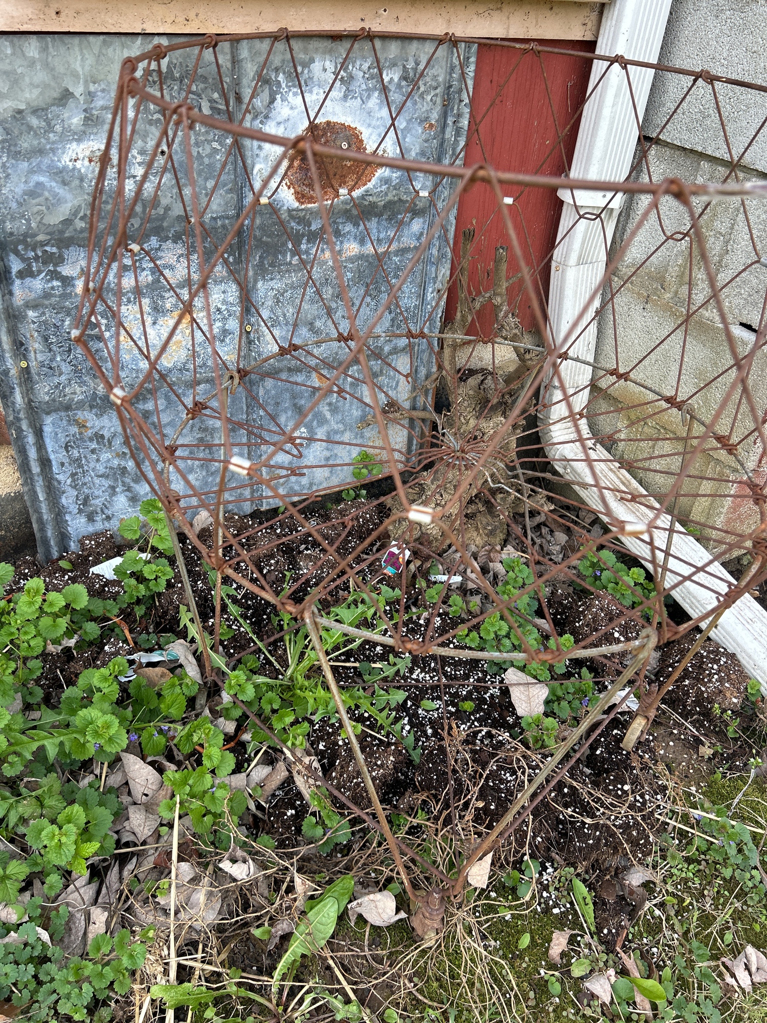 Lot image 10