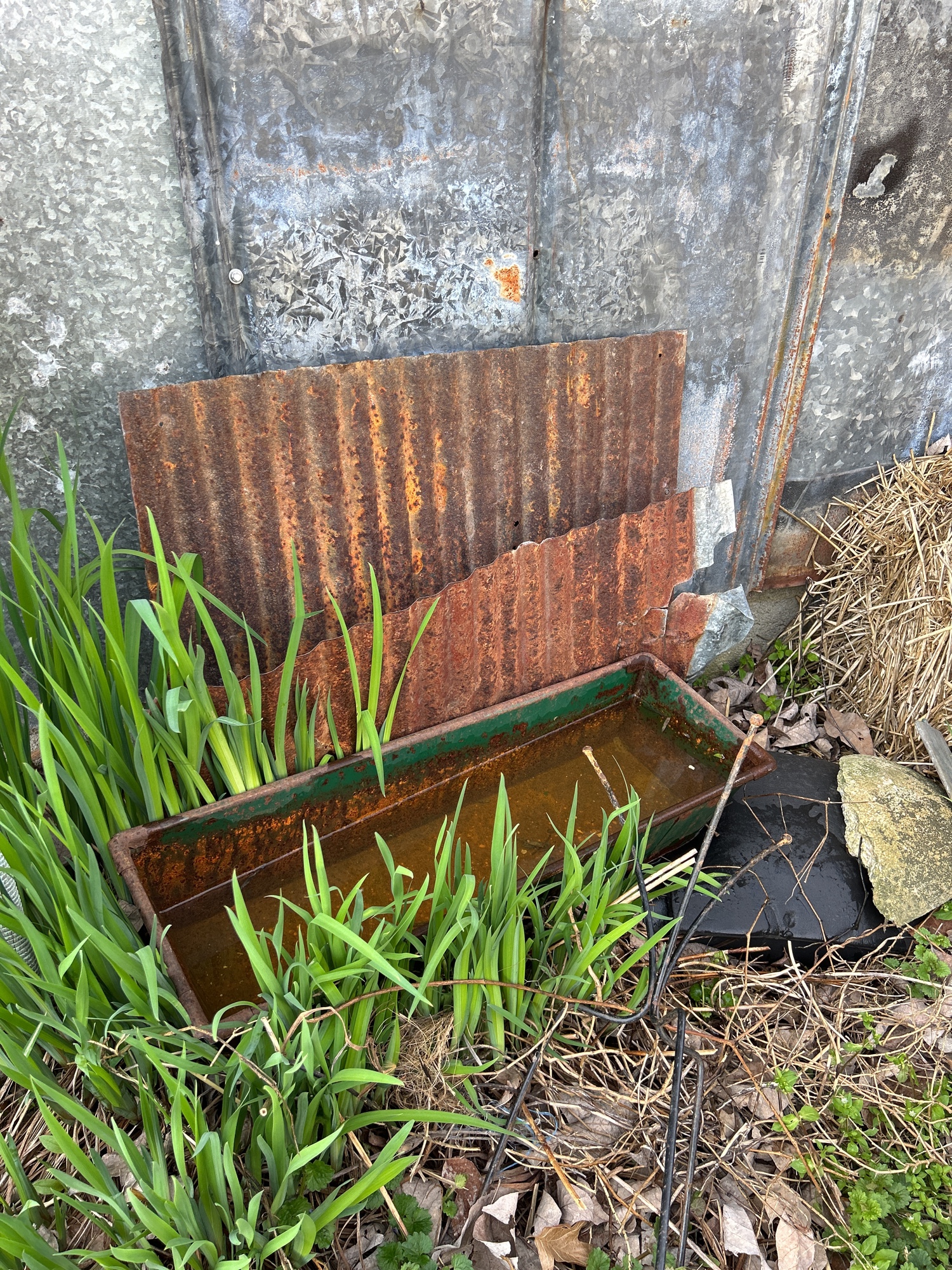 Lot image 4