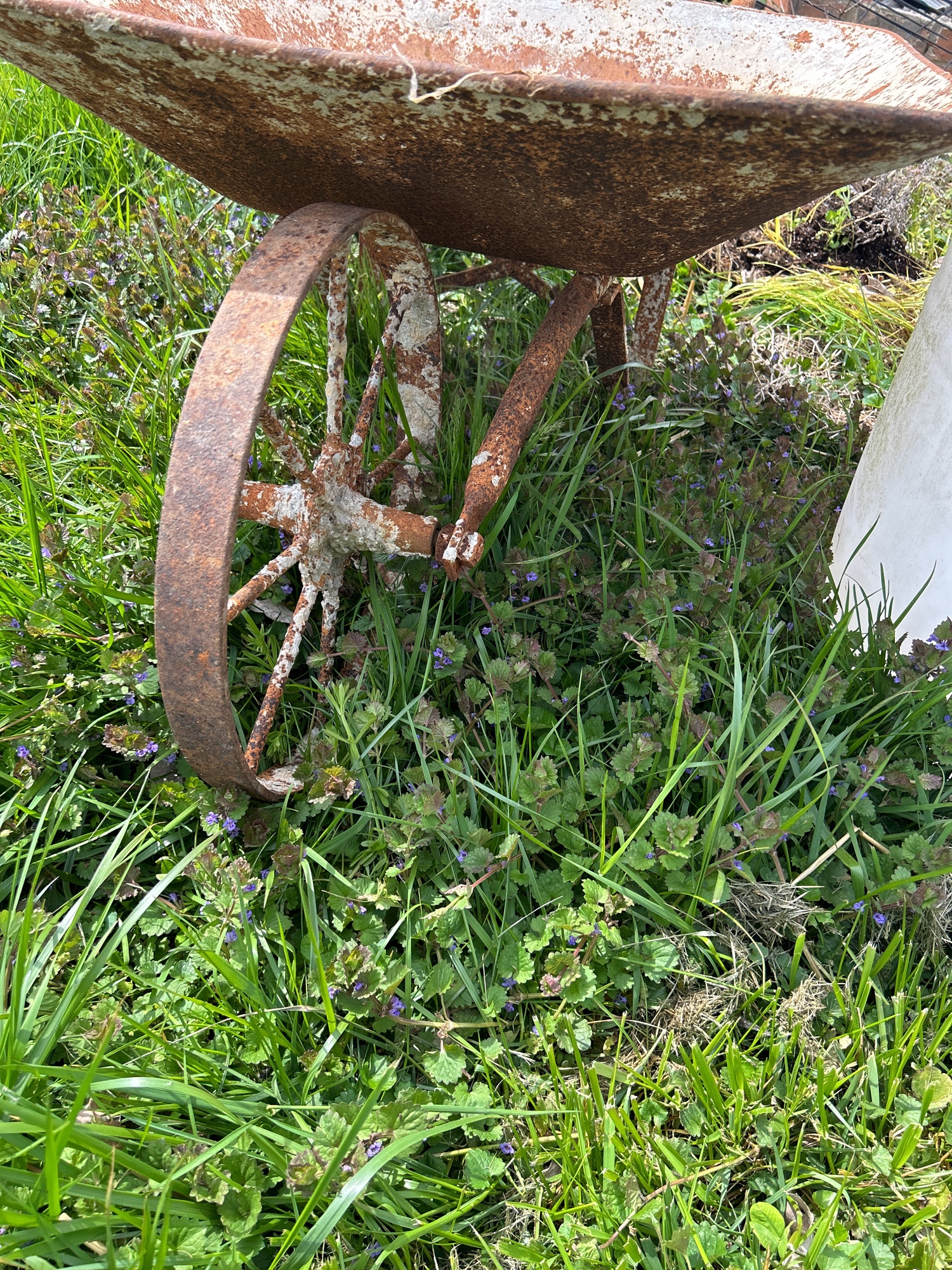 Lot image 5