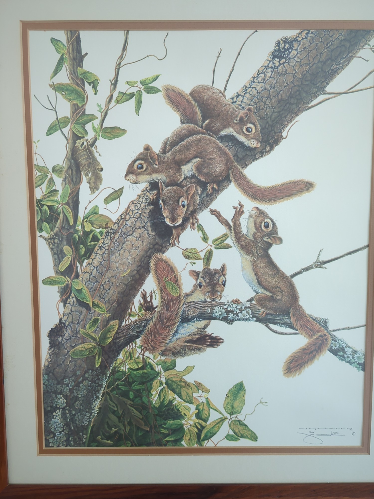 Lot image 2