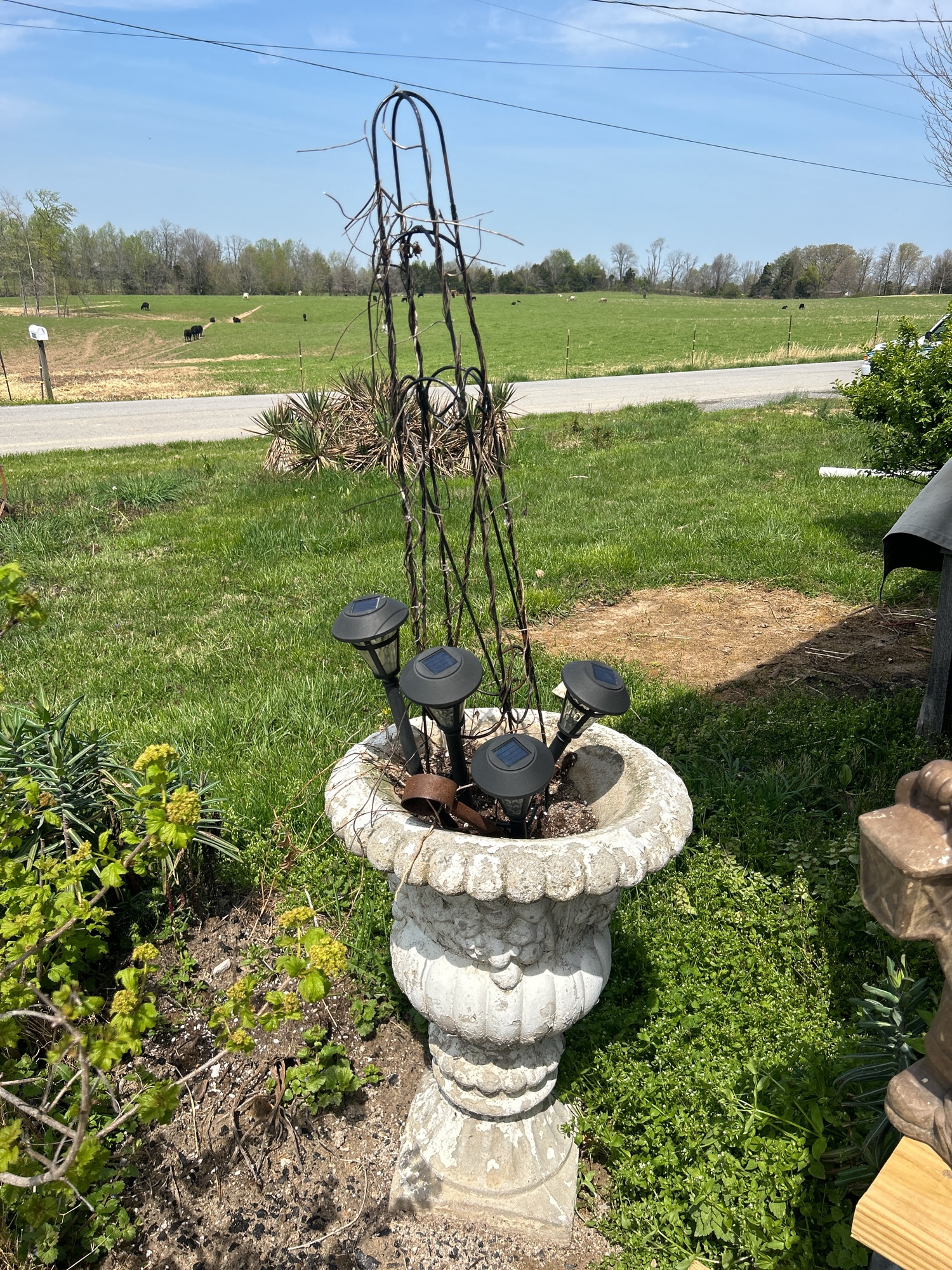 Lot image 2